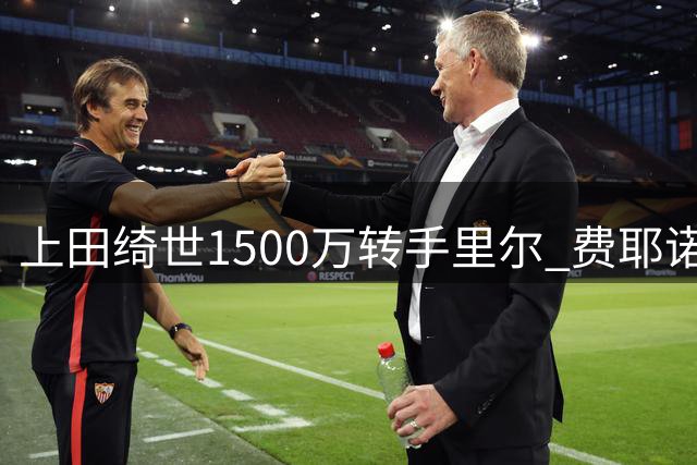 上田绮世1500万转手里尔 费耶诺德卖便宜了？